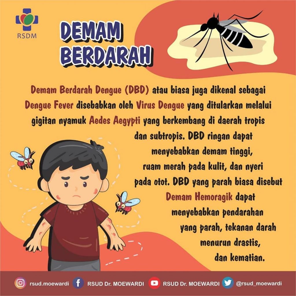 WASPADA TERHADAP ANCAMAN DEMAM BERDARAH DENGUE (DBD) YANG MULAI MUNCUL DI MUSIM PENGHUJAN INI