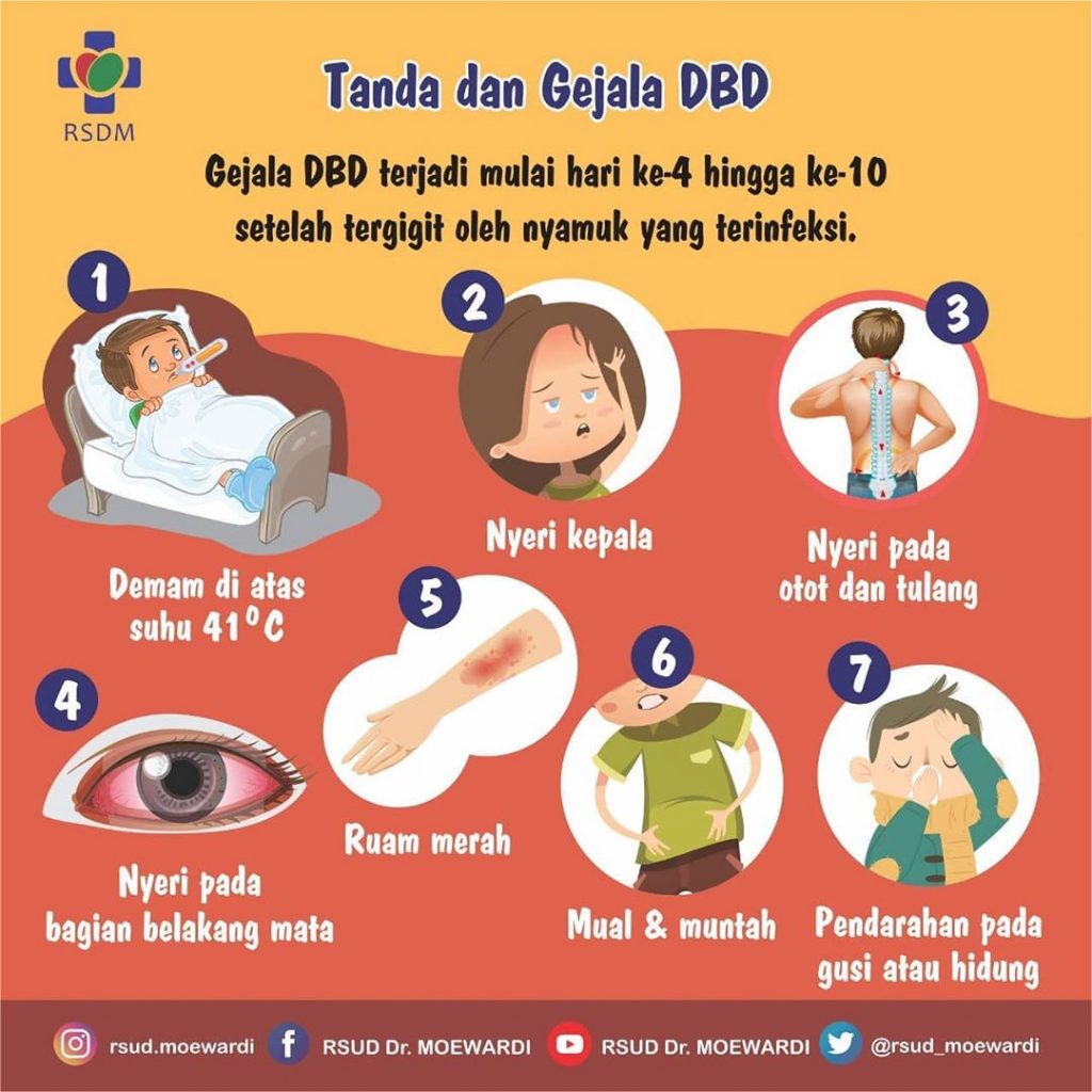 Waspada Terhadap Ancaman Demam Berdarah Dengue (DBD) yang Mulai Muncul di Musim Penghujan Ini