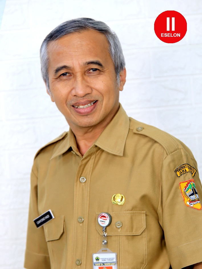 Dr. dr. CAHYONO HADI, Sp.OG