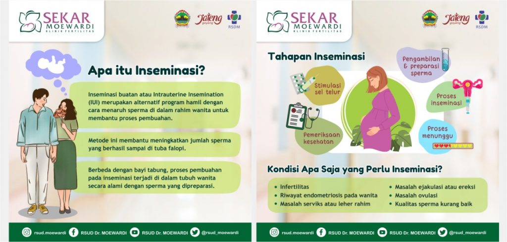 Apa Itu Inseminasi?