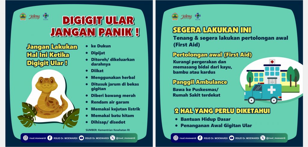 Digigit Ular, Jangan Panik!